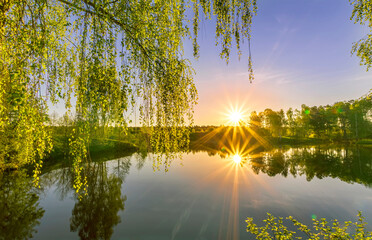 Scenic view at beautiful spring sunset on a shiny lake with green branches, birch trees, bushes,...