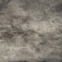 Grey low pile furry carpet texture
