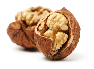 walnuts on a white background