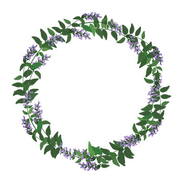 Sage flower wreath. Round floral frame. Vector clipart and design for sublimation