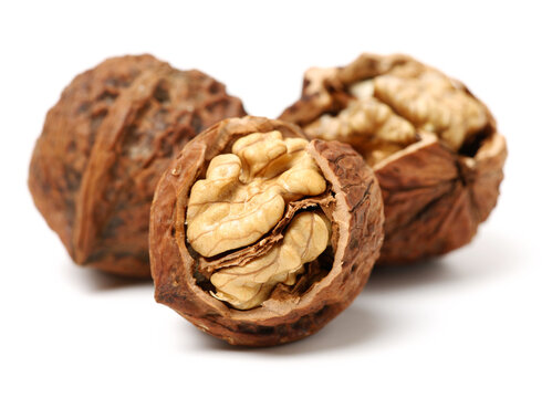 Walnuts On A White Background