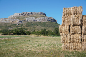Packed straw bales on a field