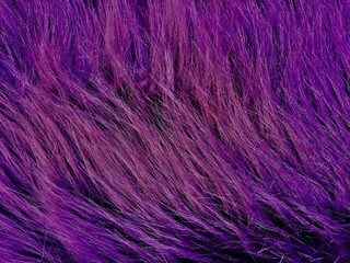 Fototapeta premium Purple long pile artificial fur texture