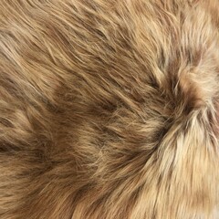 Russet brown sheepskin rug texture can be used as background