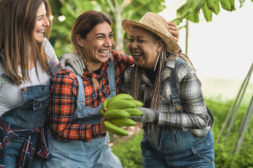 Happy farmers having fun working in bananas plantation - Farm people lifestyle concept