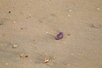 Beach. Blue sea and white sand. Summer time. Seacost