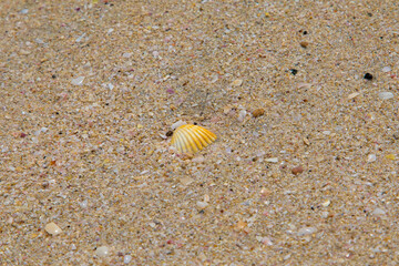 Beach. Blue sea and white sand. Summer time. Seacost