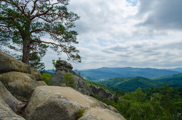 Beautiful tree and Lofty stones in forest of Dovbusha rocks, Ukraine, Ivano Frankivsk region