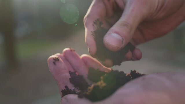 Primary soil analysis for the suitability of planting for vineyards.
