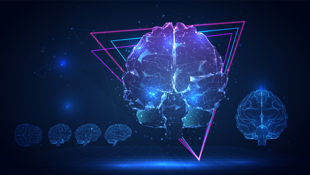 vector 3d human brain on blue background in virtual space