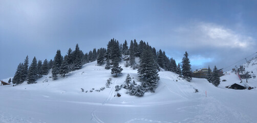 snow covered mountains