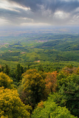Top view of the Alsace Vosges mountains and forest
