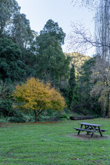 Obraz na płótnie Canvas bench in the park, picnic table
