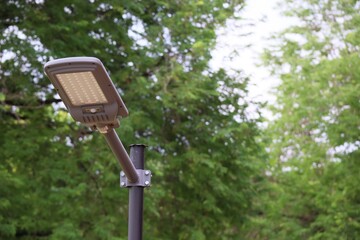 Steel Pole for Lighting Fixtures in Outdoor Parks, Optional Focus Tree background