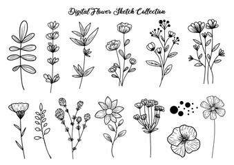 Flower Sketch Digital Clipart