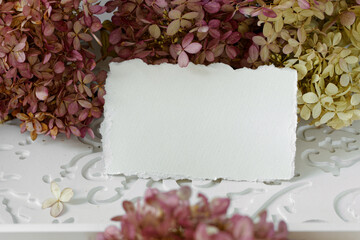 Blank torn piece of white paper among pink flowers. Stationery mock-up scene.
