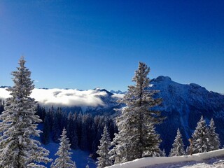 Alpen