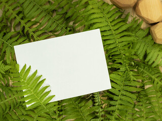 Blank piece of white paper among green fern leaves. Stationery mock-up top view scene.