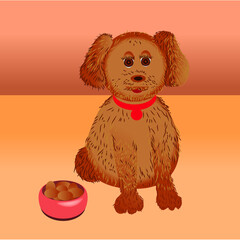 Shaggy dog with cookies