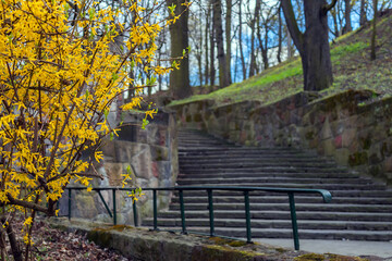 spring, stairs, steps,  leading to the old park, out of focus, in the foreground, in focus yellow flowering bush, cityscape