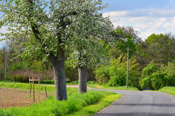 Fototapeta premium Landschaft und Natur im Erzgebirge