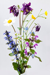 Bouquet of European spring flowers on white background, picked on a meadow in May. Marguerite, cardamine pratensis, carpet bugle, columbine flower, forget me not, aquilegia, lamium, ranunculus.