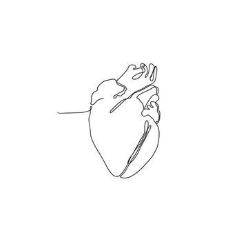 hand drawn doodle heart organ illustration in continuous line art style vector isolated