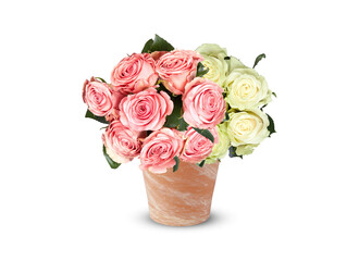 Obraz premium bouquet of roses white and pink Flower of love Has a bright fragrance in summer isolated on white background​ with​ clipping​ path​