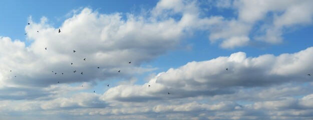 Beautiful cloudscape in blue sky, clouds panoramic view