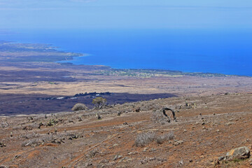 Panoramic view from the border of Koai'a Tree Sanctuary-a preserve along Kohala Mountain Road,area...