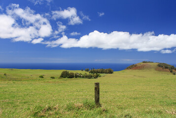 Fence with barbed wires protecting the ranchers' homes within the emerald green hills and pastures in Waimea countryside on Big island, Hawaii 