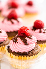 Chocolate raspberry cupcakes