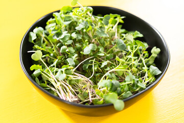 Microgreens