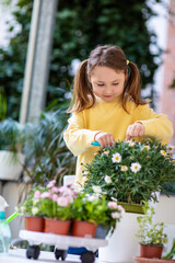 Little elementary age girl caring for balcony flowers, pruning with pruning shears