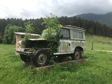 old abandoned truck full of green life