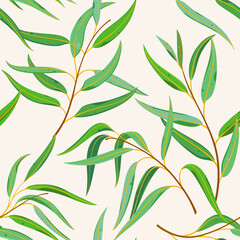 Branch of eucalyptus tree. Trendy pattern with twig. Vector contour illustration. © Lili Kudrili