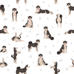 Akita Inu all colours seamless pattern. Different coat colors set
