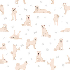 Akita Inu all colours seamless pattern. Different coat colors set