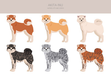 Akita Inu all colours clipart. Different coat colors set