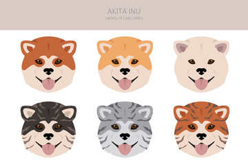 Akita Inu all colours clipart. Different coat colors set