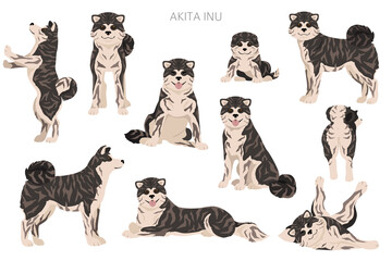Akita Inu all colours clipart. Different coat colors set