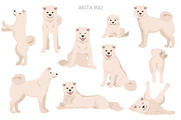 Akita Inu all colours clipart. Different coat colors set