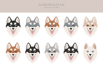 Alaskan klee kai all colours clipart. Different coat colors set