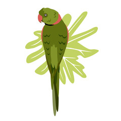 Tropical hand drawn colorful parrott with leaf background. Necklace parrot green plums red beak illustration isolated on white background.