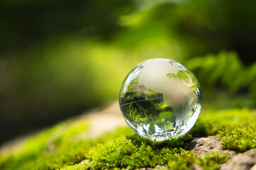 rystal globe glass resting on moss stone with sunshine in nature forset. eco  environment concept