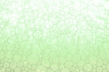 Light Green Background Closeup of Oil Drops in Water. Abstract Macro Photo of Liquid Surface with Bubbles. Bright Design of Structural Watery Texture.