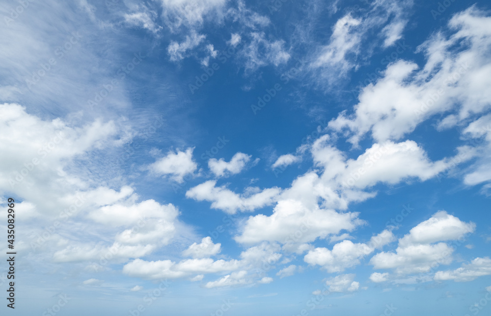 Wall mural white clouds in a blue sky in southwest florida usa