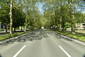 L'avenue de Tervuren sans circulation pendant le premier confinement de la crise sanitaire due au...