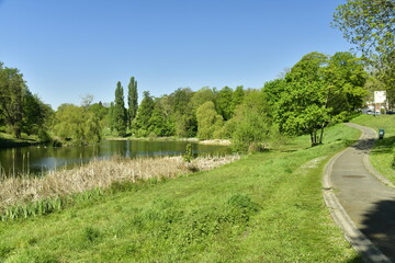 Fototapeta na wymiar Chemin en bitume entre l'un des étangs et l'avenue de Tervuren en pleine nature luxuriante du parc de Woluwe à Woluwé-St-Pierre