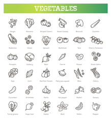 Basic vegetables thin line icon set